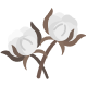 Cotton Flaticon 3 1 1
